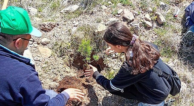 Selçuklu’da Yeşil Doku Güçlenmeye Devam Ediyor