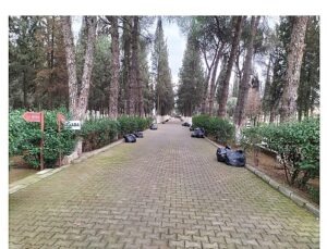 Büyükşehir Belediyesi Öncülüğünde Mezarlıklarda Yoğun Çalışma