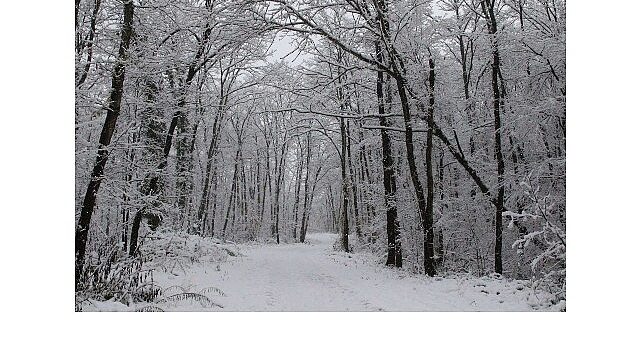 Ormanya’da kartpostallık kış manzaraları